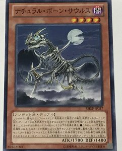 遊戯王 ノーマル 効果モンスター 1枚 ナチュラル・ボーン・サウルス SHSP