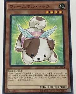 遊戯王 ノーマル 効果モンスター 1枚 ファーニマル・ドッグ SPFE