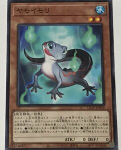 遊戯王 ノーマル 効果モンスター 1枚 ヤモイモリ LIOV