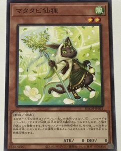 遊戯王 ノーマル 効果モンスター 1枚 マタタビ仙狸 BACH