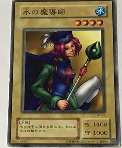 遊戯王 ジャンク 2期 ノーマル 通常モンスター 1枚 水の魔導師 B3