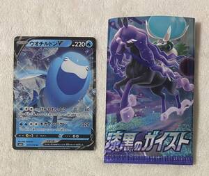 12-23. ポケットモンスター　漆黒のガイスト　ウオチルドンV