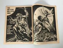 The Savage Sword of Conan the Barbarian 【コナン】(マーベル コミックス) Marvel Comics Vol. 1 No. 30 JUNE 1978年 英語版 _画像5