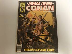 The Savage Sword of Conan the Barbarian 【コナン】(マーベル コミックス) Marvel Comics Vol. 1 No. 31 JULY 1978年 英語版 