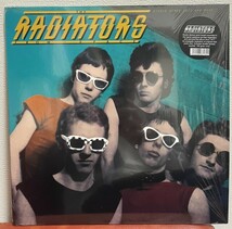 ◆RADIATORS FROM SPACE DEMO LP PUNK KBD パンク天国 _画像1