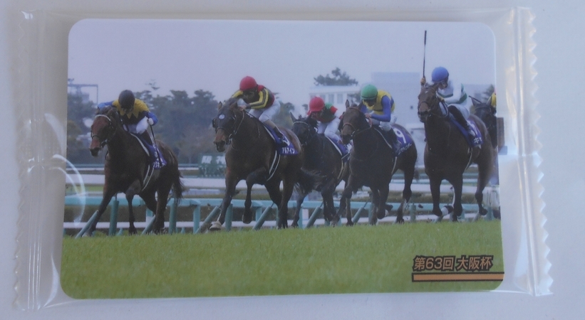 2025年最新】Yahoo!オークション -競馬 アルアインの中古品 2025年最新】Yahoo!オークション -競馬 アルアインの中古品