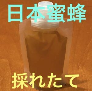 希少 日本ミツバチ 百花蜜 採れたて 非加熱 生はちみつ 150g パウチ 抗生物質無し 蜂蜜療法 