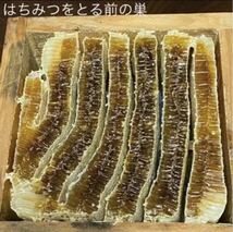 大容量スティックタイプ 1本 日本ミツバチ 希少 蜜蝋 肉球クリーム 舐めても安心 無農薬 オーガニック 無添加！_画像9