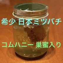 コムハニー 巣蜜入り 希少 日本ミツバチ 非加熱 生はちみつ 安全安心 抗生物質不使用 _画像1