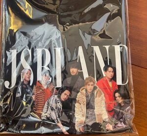 JSB LAND フォトロングスリーブTシャツ L