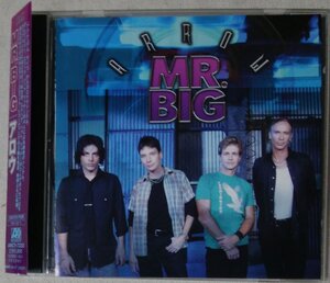 ★★Mr BIG ARROW★国内盤 シングル★2001年リリース★CD[10229CDN