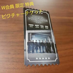 stray kids 5-STAR DOME TOUR 2023 W会員限定特典 ピクチャーチケット