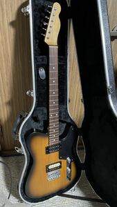 T's Guitars テレキャスタータイプ telecaster ダンカン、ウルフトーン搭載　ティーズギターズ テレギブ ハムバッカー