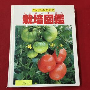 S7d-123 こどものための 栽培図鑑 目次/野菜果物 草花 部屋で育てる植物 栽培の基そ知識 発行年月日記載なし 世界文化社 図鑑 しょくぶつ