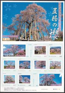 フレーム切手 jps3529 巨木・古木の里 置賜の櫻 伊佐沢の久保桜