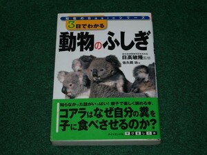 3日でわかる動物のふしぎ 佐久間 功 知性のBasicシリーズ 4478860343