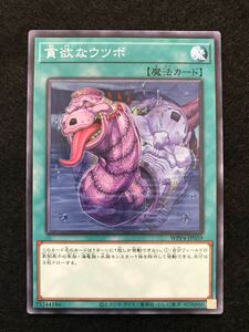 遊戯王デュエルモンスターズOCG/ノーマルカード・WPP4-JP059：貪欲なウツボ、1枚 新品 検索/武藤遊戯・海馬瀬人・城之内克也・遊城十代