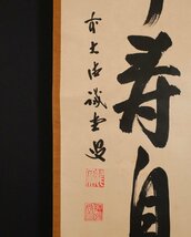 【模写】吉】9880 藤井誡堂 書「心静寿自長」 臨済宗 大徳寺515世管長 塔頭 三玄院住職 仏教 茶掛け 茶道具 禅語 掛軸 掛け軸 骨董品_画像7