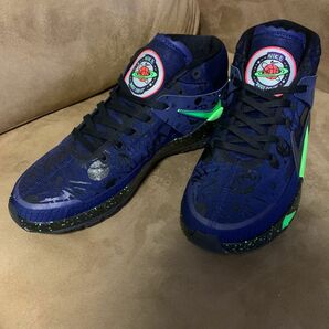 NIKE KD 13 EP 'PLANET OF HOOPS' ナイキ ケーディ