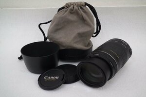 ☆ Canon キャノン EF 90-300mm 1:4.5-5.6 USM レンズ ソフトケース付き シャッター切れOK 中古 現状品 231107A5294