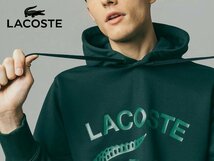 22FW LACOSTE ラコステ SH059EL ヴィンテージロゴパーカ/FR 4 US M/ビッグワニロゴプリント スウェット フーディ/プルオーバー/緑/メンズ_画像2