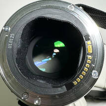 ◆AF動作確認済み◆ Canon キャノン 望遠レンズ 単焦点レンズ　EF 300mm F2.8 L ULTRASONIC ジュラルミンケース 付属 【1840】_画像8