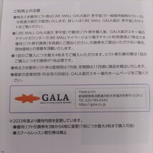 ＪＲ東日本優待券のガーラ湯沢スキー場リフト20%割引券30名様297円（送料込み360円）その他枚数も格安に出品しております。_画像3