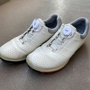 ecco エコー 　biom　　天然皮革　　スパイクレス　　GORE-TEX　　EU41　　　JPN26.0