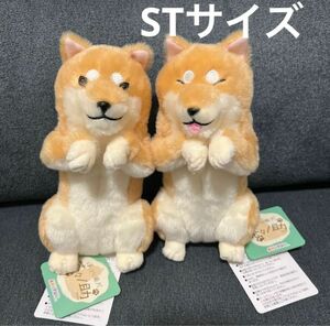 ★新品未使用品★ほっこり柴犬　茶々ノ助　ぬいぐるみ2種セット