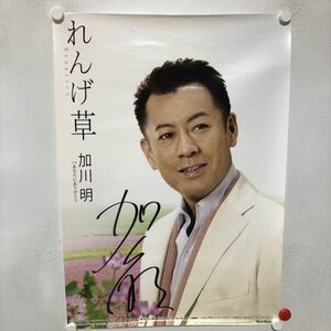 A67389 ◆加川明　れんげ草 B2サイズ ポスター 送料350円 ★5点以上同梱で送料無料★