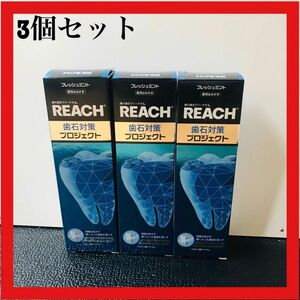 銀座ステファニー リーチ 歯石対策 プロジェクト 歯みがき 120g 3個セット