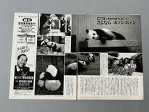 ○ TOSHI PATA YOSHIKI HIDE HEATH X JAPAN パンダ ホァンホァン 上野動物園 雑誌 切り抜き 4P/28713_画像2