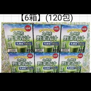 【国産】新品6箱[120包]九州産野菜青汁/乳酸菌100億個/