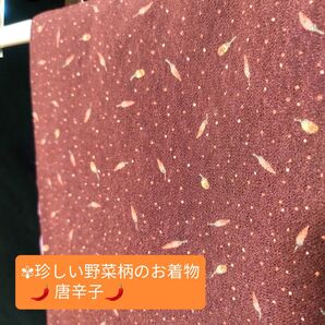 着物 京野菜 野菜柄 唐辛子 小紋 カジュアル 縁起物 厄除け 袷 アンティーク