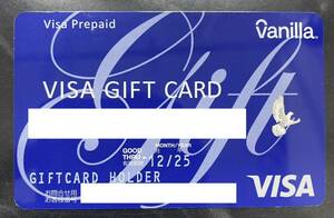 VANILLA VISA gift card バニラ ギフトカード バニラビザ 30,000円分 有効期限 2025年12月