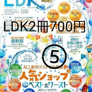 ＬＤＫ（エルディーケー） ２０２３年９月号 （晋遊舎）即日発送　即購入可能