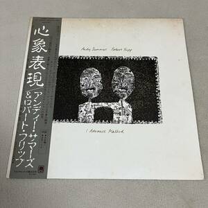 【国内盤帯付】ANDY SUMMERS ROBERT FRIPP I ADVANCE MASKED アンディーサマーズ＆ロバートフリップ 心象表現/LP レコード/AMP28061/