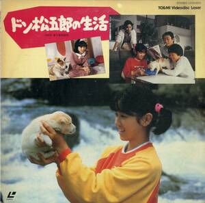 B00172323/LD/中田新一(監督) / 西村知美・前田吟「ドン松五郎の生活 (1986年・L078-5013)」