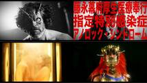 唐獅子仮面 LION-GIRL　未開封輸入盤Blu-ray　岩永丞威/木村知貴/デレク・ミアーズ/光武蔵人/永井豪　送料185円で最大４点まで同梱可_画像7