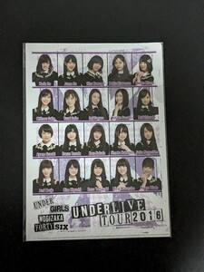 乃木坂46　アンダーライブツアー2016　永島聖羅卒業コンサート　クリアファイル　　永島聖羅、佐々木琴子、鈴木絢音、新内眞衣、他