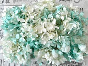  preserved flower pillar mid a hydrangea 20g rom and rear (before and after) white Tiffany 