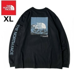 1円～!売切!【正規新品】THE NORTH FACE L/S LOGO PLAY 長袖 Tシャツ ロンT US限定 袖ロゴ ヒマラヤ 落描き風 ボックスロゴ(XL)黒180902-20