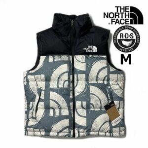 1円～!売切!【正規新品】THE NORTH FACE PRINTED 1996 RETRO NUPTSE VEST ダウンベスト ヌプシ RDS 防寒 US限定(M)青 総柄 ③ 190122-115