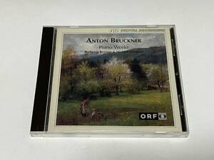 ブルックナー:ピアノ作品集(Bruckner: Piano Works) 19曲収録 ピアノ：ヴォルフガング・ブルンナー　ミヒャエル・ショッパー 4