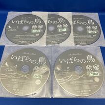 韓流【DVD】いばらの鳥 1-10巻 全巻セット 韓国 連続ドラマ レンタル落ち / ソ・ドヨン/キム・ミンジョン/ハン・ヘジン/チュ・サンウク_画像6