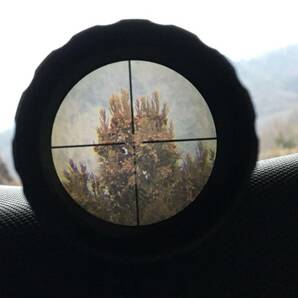 Bushnell ブッシュネル AR Optics 3-9x40 ライフルスコープ 箱付 スナイパー 猟銃 マウントリング レクティル アサルトライフル ショートの画像5