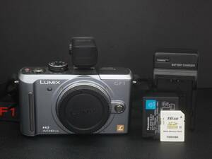 ★極美品 LUMIX DMC-GF1 ボディ DMW-LVF1 ビューファインダー付★