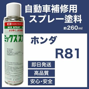 ホンダR81 スプレー車用塗料 約260ml 脱脂剤付き 補修 タッチアップ R81