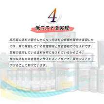 三菱A69 スプレー車用塗料 約260ml A69 脱脂剤付き 補修 タッチアップ A69_画像6