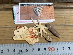 MF◎【100円セール】SEMI-LOOPER MOTH　YOWIE　TOKEN　1　ヤウイ　トークン